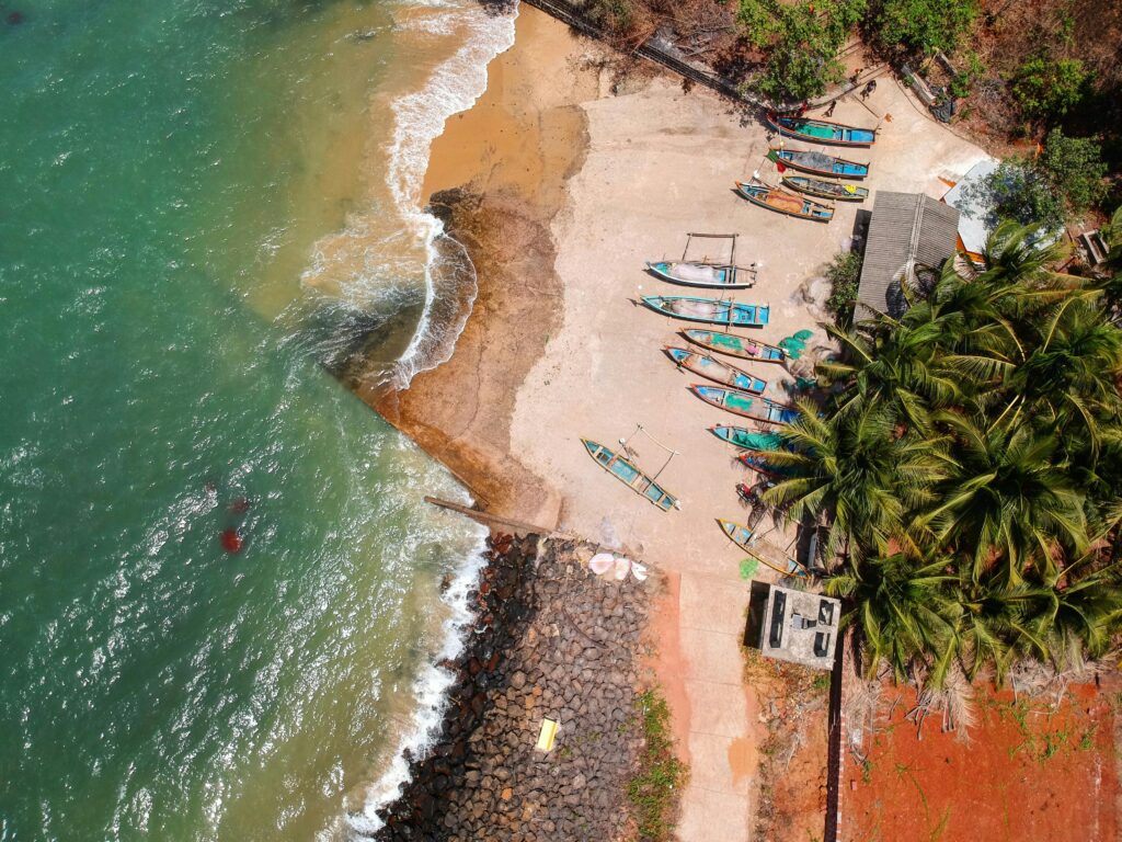 Best Time to Visit Goa — Month by Month Complete Guide 2025